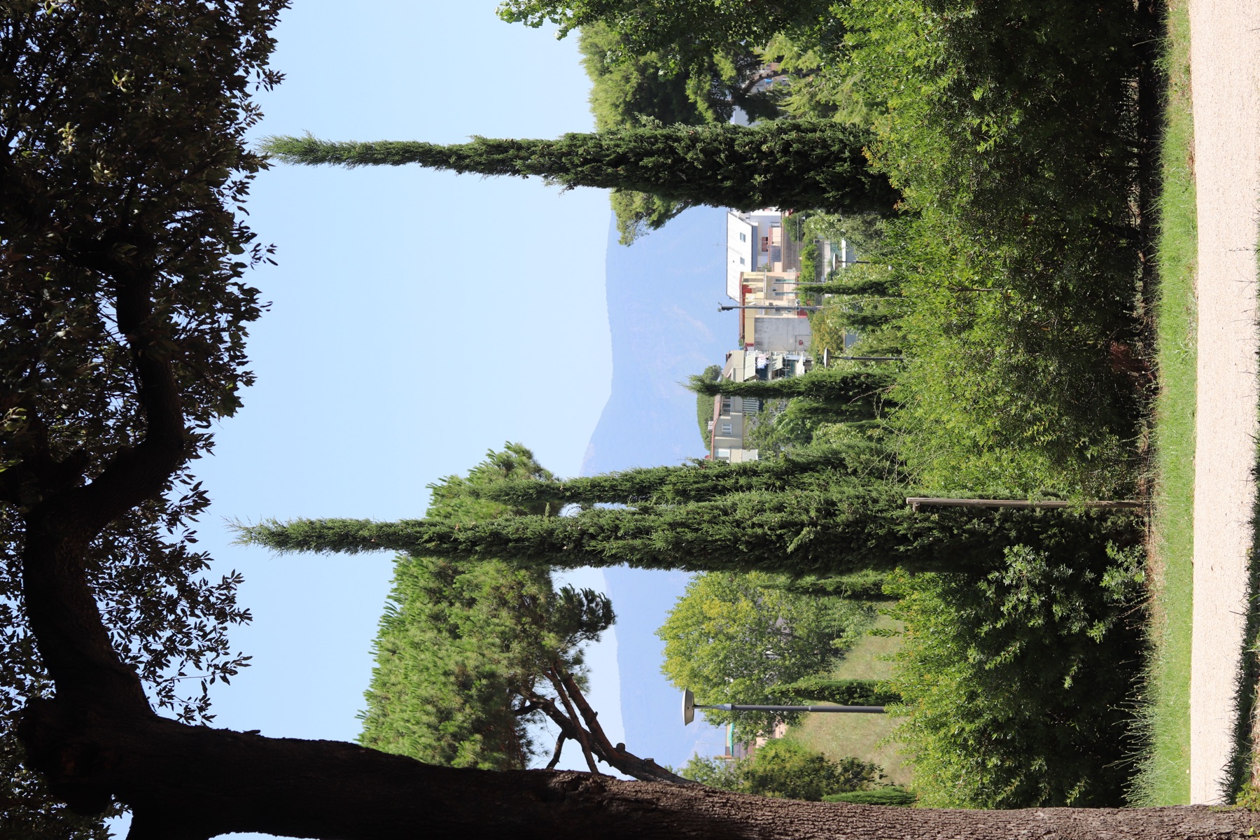 Mount Vesuvius rising beyond a sunlit garden near Naples